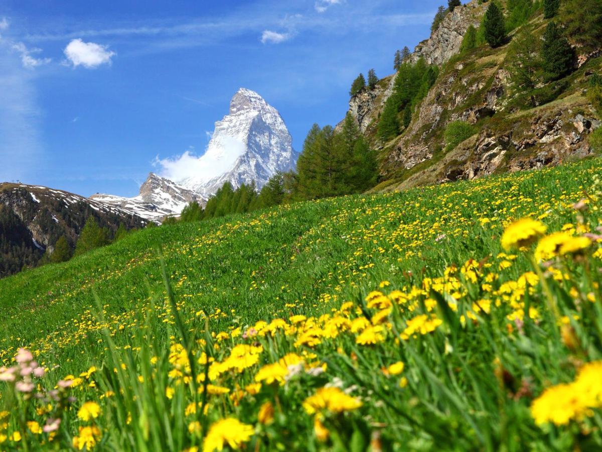 Apartment Lauberhaus By Interhome Zermatt Esterno foto