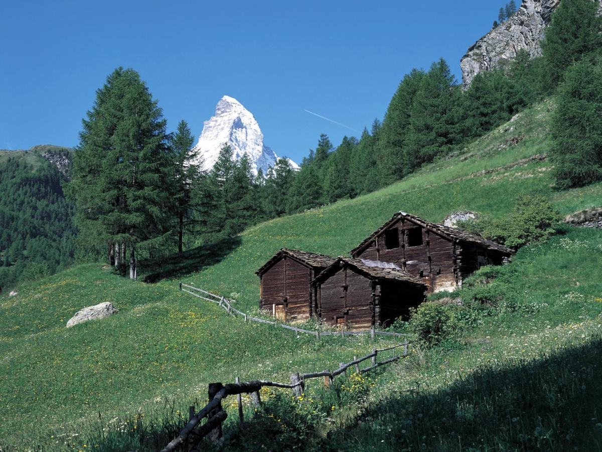 Apartment Lauberhaus By Interhome Zermatt Esterno foto